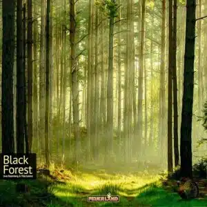 SPIEL Essen 2024 Neuheiten: Black Forest