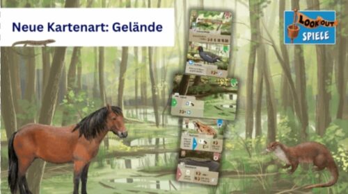 Mischwald Dartmoor Spielszene Mischwald Dartmoor Spielszene